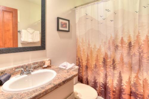 a bathroom with a sink and a shower curtain at Wedgewood Lodge in Breckenridge