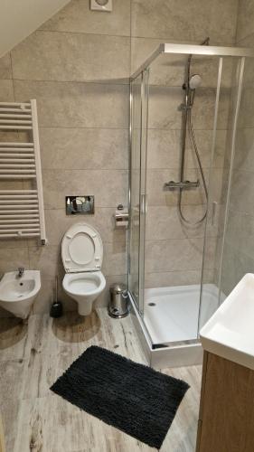 Un baño con ducha, inodoro y lavabo. en Ela house, en Brasov