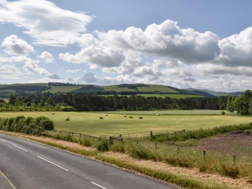 a field of green grass with sheep in the middle of a road at 2 Bed in Mindrum 85422 in Carham