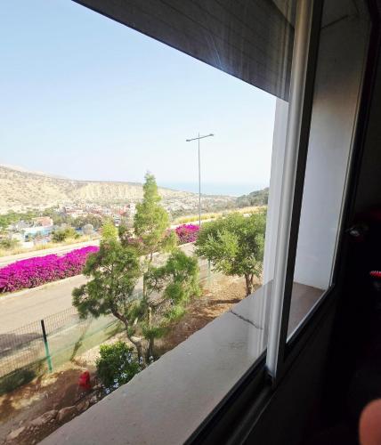 a window with a view of a field of flowers at 5-star hillside relaxation in Imi Ouaddar