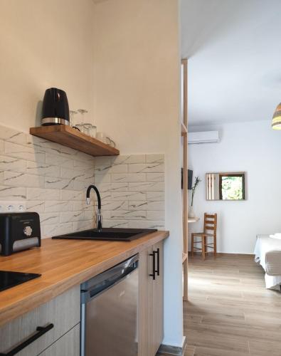 a kitchen with a sink and a counter top at Kaia Studios Agnondas in Agnontas