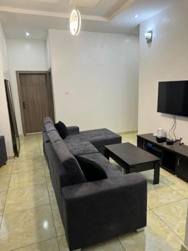 レッキにある2 Bedroom Apartment by lekki conservation centerのソファとテレビのあるリビングルーム