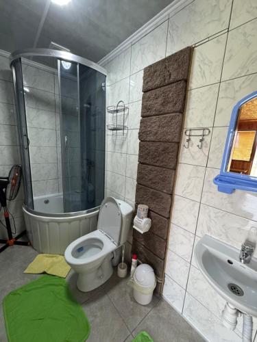 a bathroom with a toilet and a tub and a sink at Садиба «Під ліском» in Pulʼmo