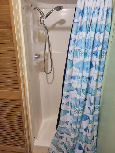 a shower with a blue and white shower curtain at The Turk Lake House - Lakefront With Toys & Ac! in Greenville
