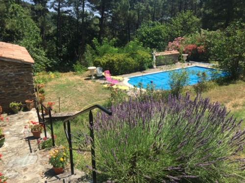 Chambres d'hôtes B&B Le Chant des Pins en Cévennes