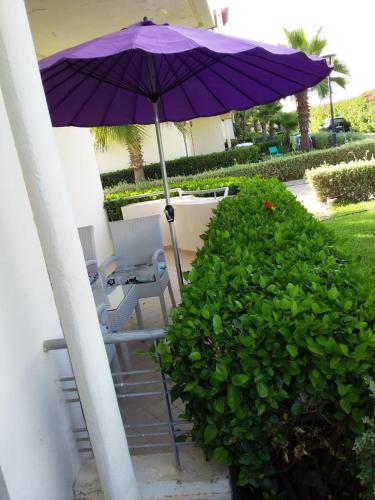 Κήπος έξω από το Magnificent Luxury Beach Villa in Savannah Beach