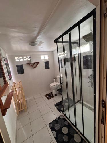 a bathroom with a shower and a toilet at La Kaza Tresor - Appartement T2 spacieux avec jacuzzi privé in Sainte-Anne