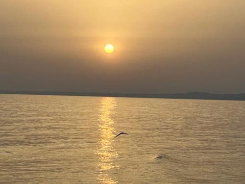 Phong cảnh thiên nhiên gần nhà nghỉ B&B