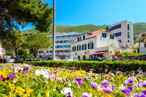 un campo de flores en una ciudad con edificios en Hostel EuroAdria, en Dubrovnik