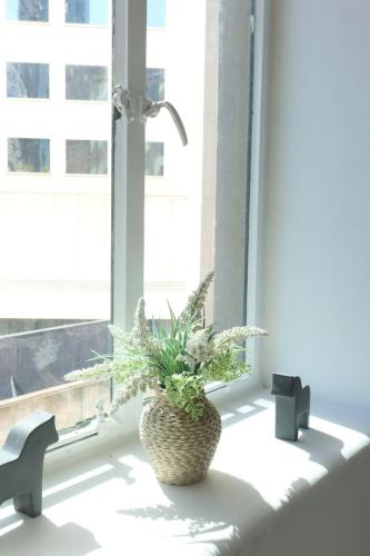 a potted plant sitting on a window sill at The Clocktower Light and Airy Studio on Bourke St in Melbourne