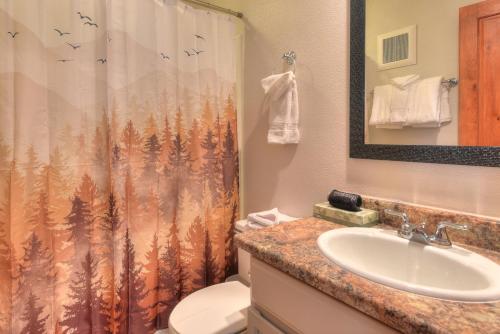 a bathroom with a sink and a shower curtain at Wedgewood Lodge in Breckenridge
