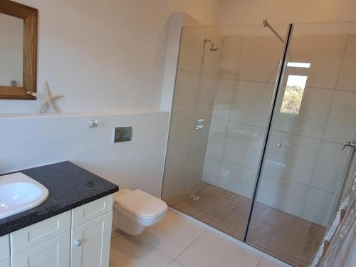 a bathroom with a shower and a toilet and a sink at Romansbaai Beach House in Gansbaai