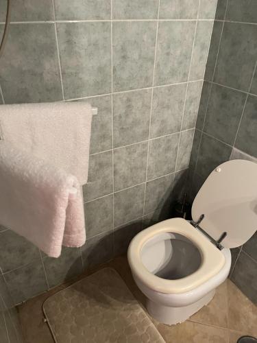 La salle de bains est pourvue de toilettes et de serviettes murales. dans l'établissement Les jardins de la mer marine de Bravone, à Linguizzetta