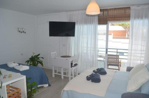 Μια τηλεόραση ή/και κέντρο ψυχαγωγίας στο Apartment with an ocean view