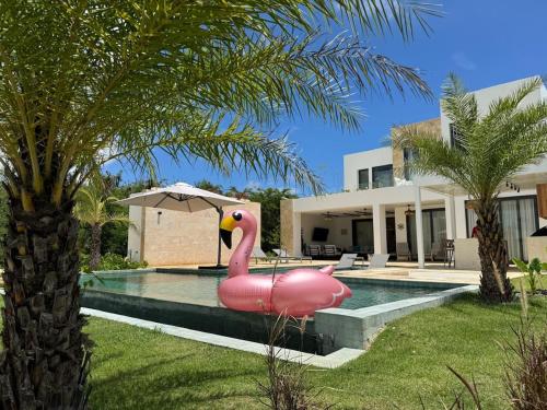 Golf 218 Nueva Romana Beach