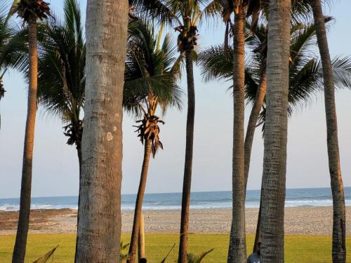 a group of palm trees on the beach at Paktinemi Diamante Fantastic View Beach Club in Acapulco