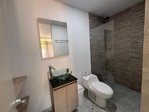 a bathroom with a toilet and a sink and a mirror at La terraza 2 in Ciudad Bolívar