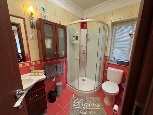 Un baño con ducha, inodoro y lavabo. en MIMÓZA Nyaralóház, en Tiszafüred