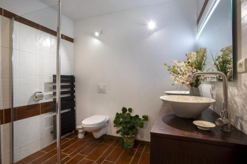 une salle de bain avec un lavabo et des toilettes dans l'établissement Villa la quietude, à Saint-Cézaire-sur-Siagne