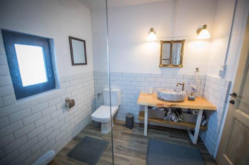 a bathroom with a sink and a toilet at Casa cu copaci Romanian historical farmhouse in Mărişel