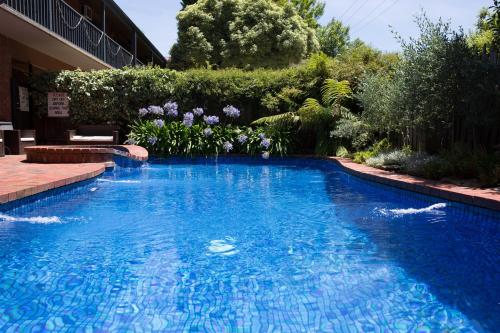 a swimming pool with blue water in a yard at Armour Motor Inn in Beechworth