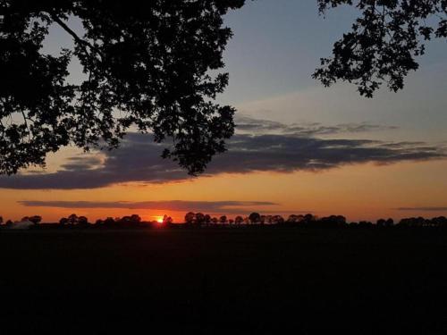 a sunset in a field with a tree at Holiday Home in Hellendoorn near Forest in Hellendoorn