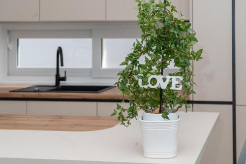a potted plant sitting on a counter in a kitchen at Apartmani Miranda in Drasnice