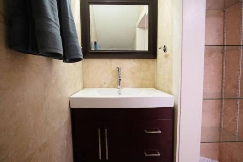 a bathroom with a sink and a mirror at Hamilton Suite 2 - Ground Floor, Heart of Downtown in Savannah