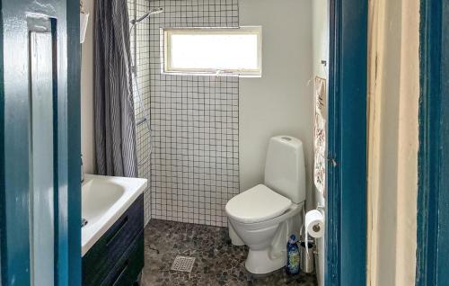 a bathroom with a toilet and a tub and a window at Stunning Home In Vejby With Sauna in Vejby