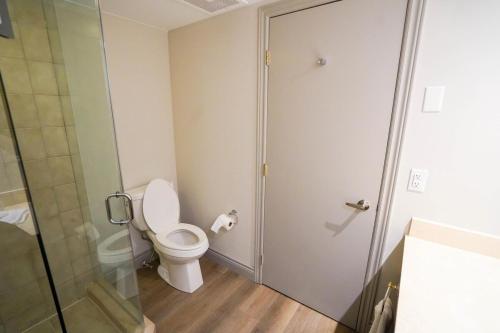 Shanty BayにあるModern, fully renovated Studio!のバスルーム(トイレ、ガラス張りのシャワードア付)