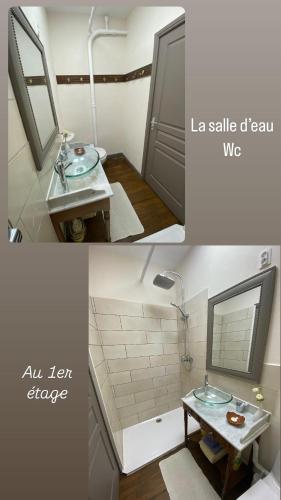 une salle de bain avec un lavabo et un miroir dans l'établissement 99 Maison des Merles, à Briennon