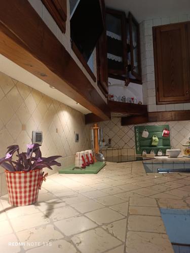 a kitchen with a potted plant sitting on the floor at TORRACCHIONE House in Barberino di Mugello