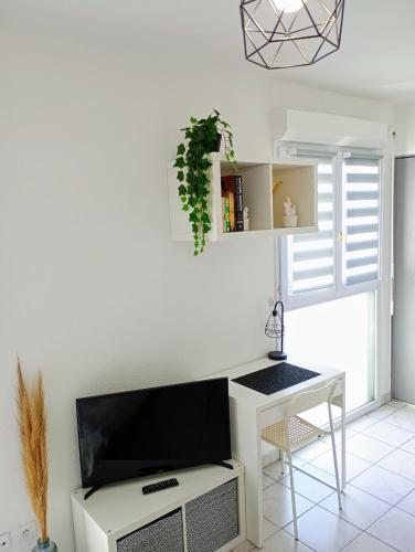 un salon avec une télévision et une table dans l'établissement Studio cosy gare Perpignan, à Perpignan