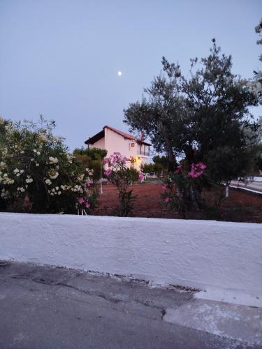 Budova, kde se vila nachází