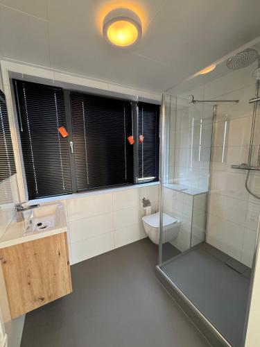 a bathroom with a shower and a sink and a toilet at Enkhuizer Strand BeachHouse Sonnendeck Nr 414 in Enkhuizen