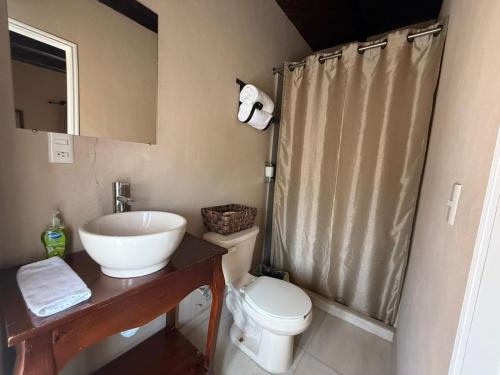 ein Badezimmer mit Waschbecken, Toilette und Dusche in der Unterkunft Hotel Carretas in Jalpan de Serra