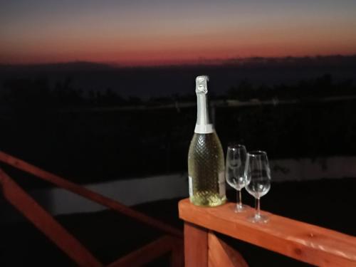 Bebidas en Vivaldi Summer