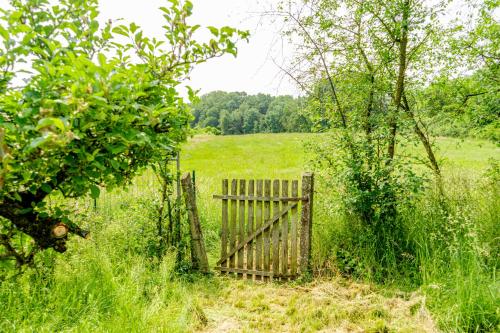 a wooden gate in a field of tall grass at Träumen unter Bäumen - Omas lütte Obstbutze am See in Lübstorf