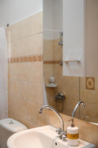 a bathroom with a sink and a toilet and a mirror at Kalymnos Skalia Mountain-Sea in Skaliá
