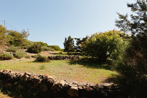a field of grass and trees on a hill at Hidesign Athens Villa In Sounio in Sounio