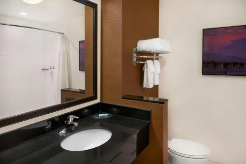 a bathroom with a sink and a toilet and a mirror at Fairfield Inn & Suites by Marriott Reading Wyomissing in Wyomissing