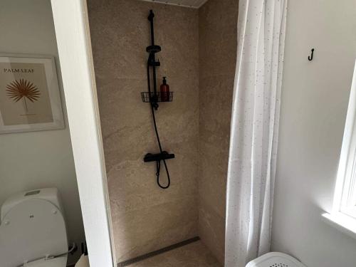 a shower in a bathroom with a toilet in a room at 6 person holiday home in Haderslev in Haderslev