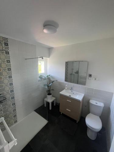 une salle de bain blanche avec des toilettes et un lavabo dans l'établissement Cozy apartment Gare, à Poitiers