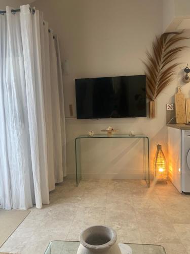 un salon avec une télévision à écran plat au mur dans l'établissement Les Jardins du Soleil, à Vic-la-Gardiole