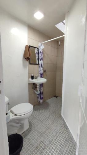 a bathroom with a toilet and a sink at Alojamiento en Morelia in Morelia