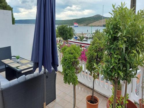 Apartment Marjan - One Bedroom Apartment with shared Terrace