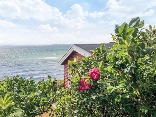a house on the beach near the ocean with roses at 4 person holiday home in Martofte in Martofte