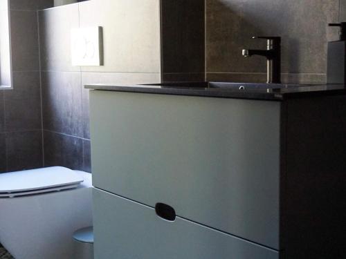 a bathroom with a sink and a toilet at 4 star holiday home in TVÄRRED in Vasared