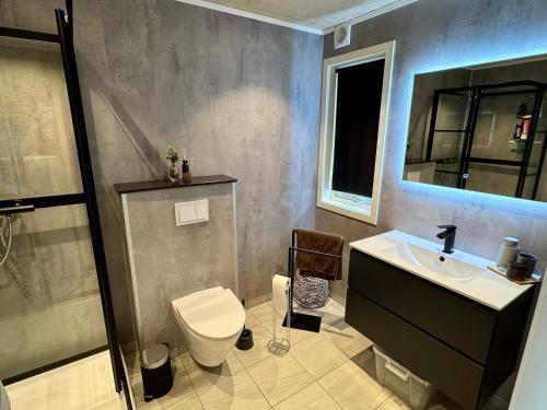 a bathroom with a toilet and a sink at 4 star holiday home in Huglo in Nordhuglo