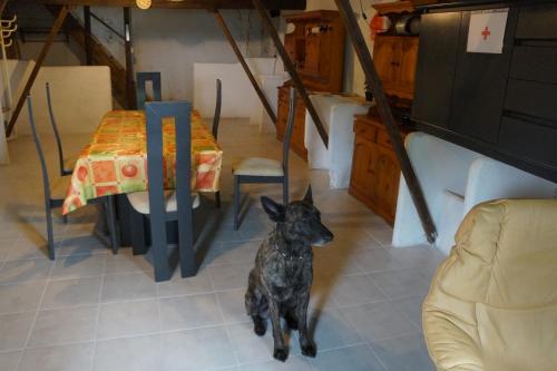 a small black dog sitting in a room with a table at Gîte BELLA in Ebly